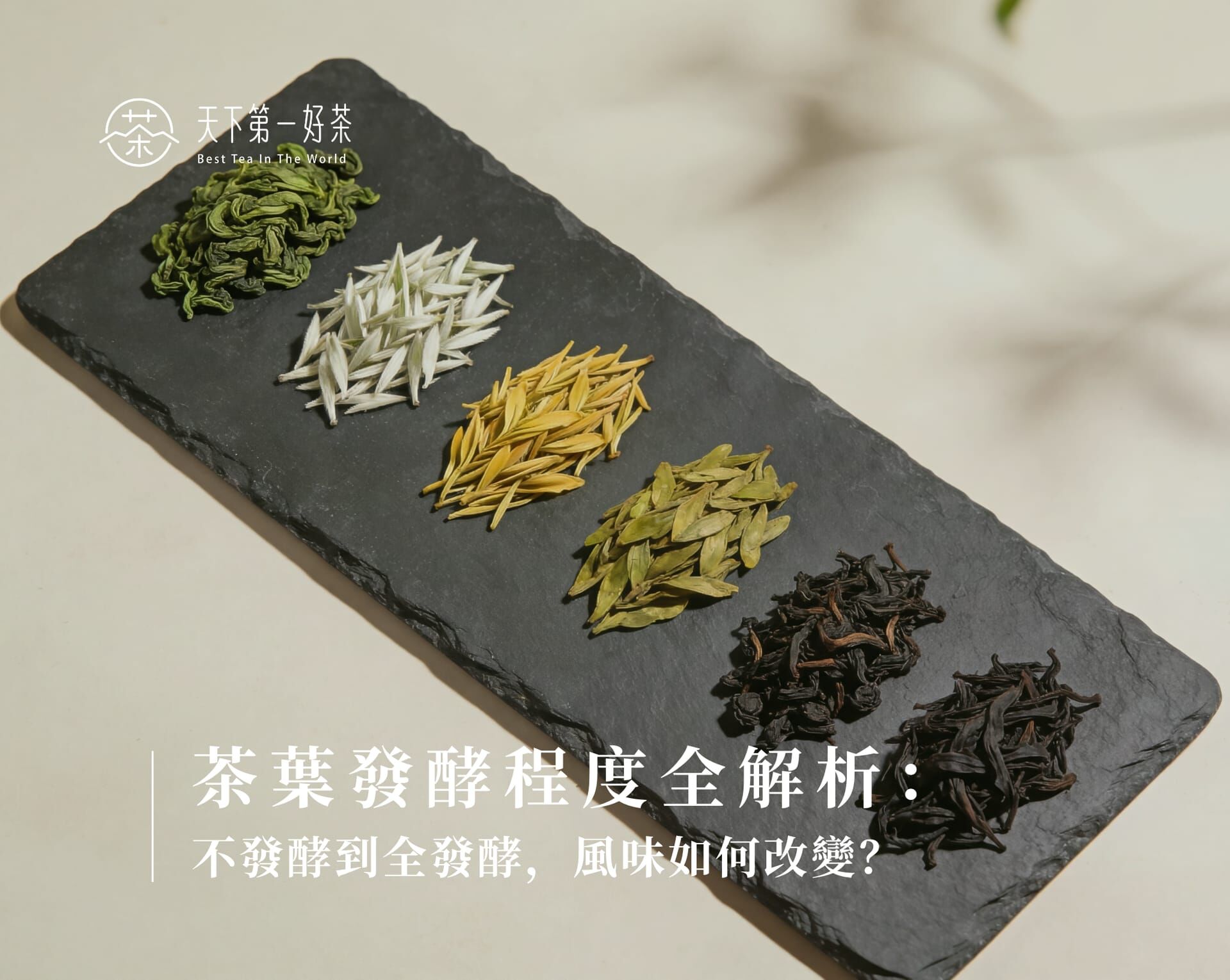 茶葉發酵程度全解析