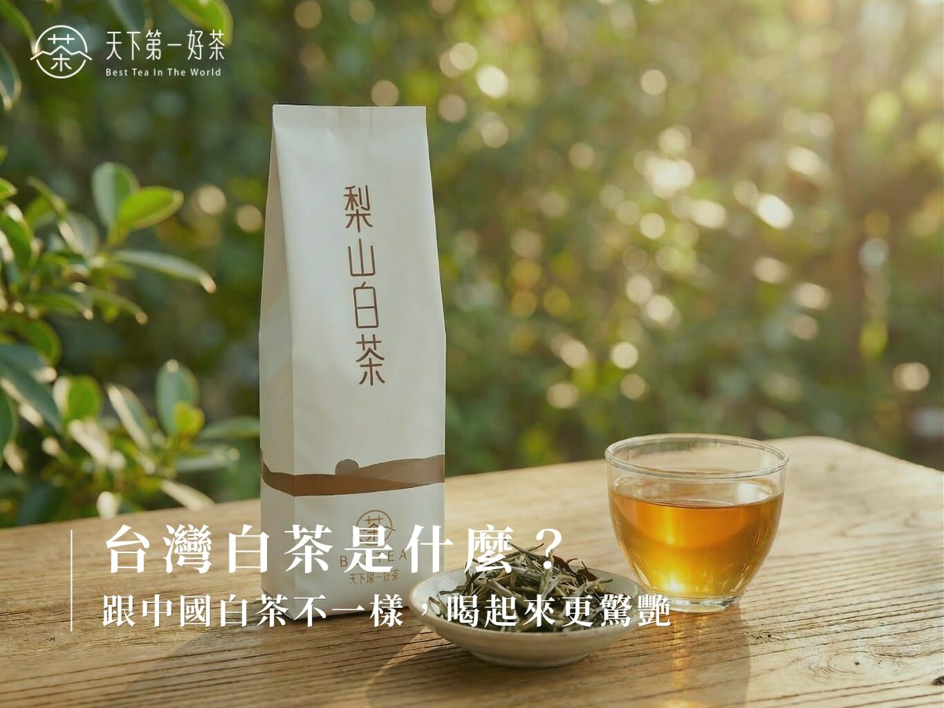 台灣白茶 vs 中國白茶差異比較