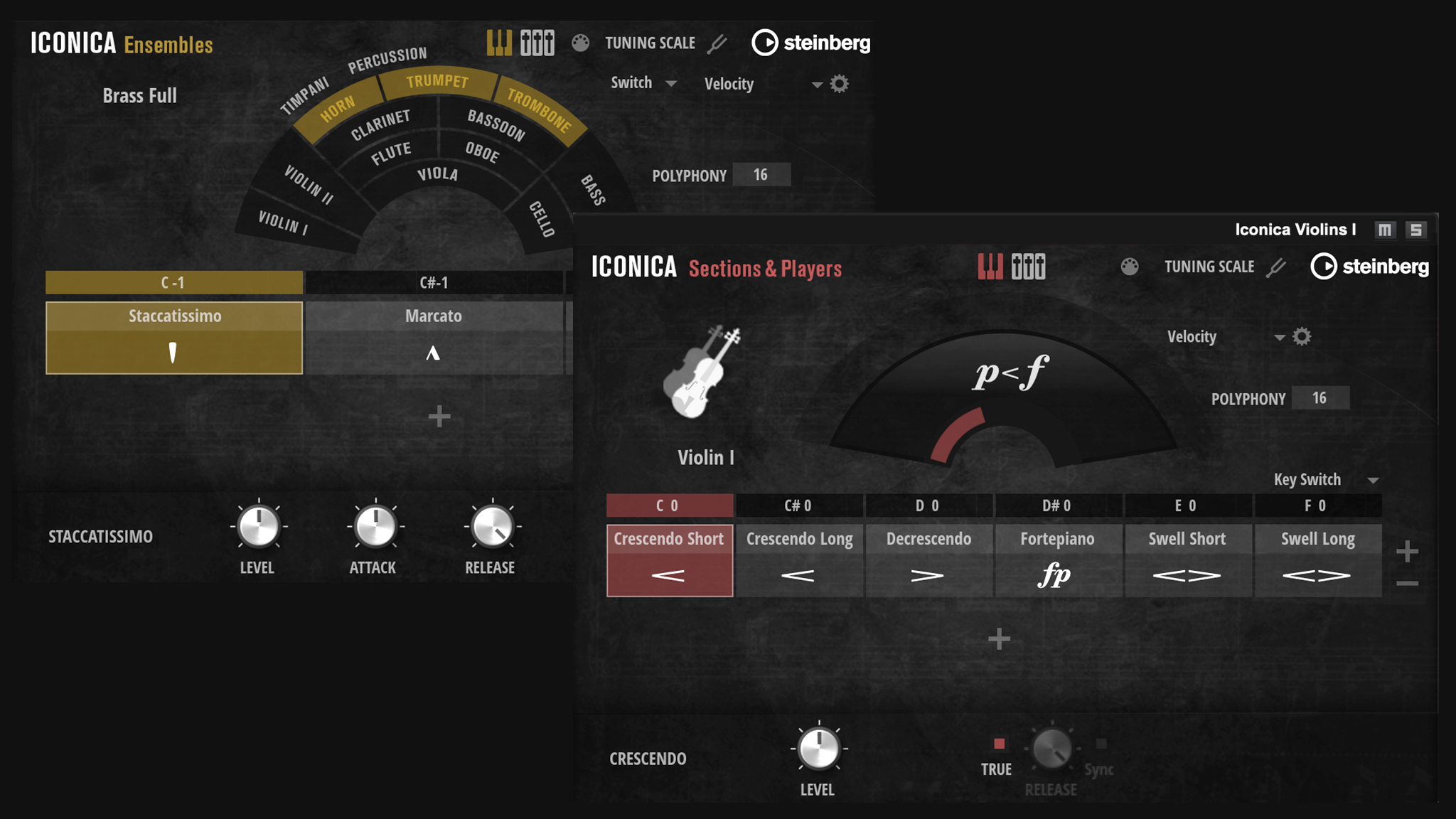 Steinberg Iconica Opus｜管弦樂音源