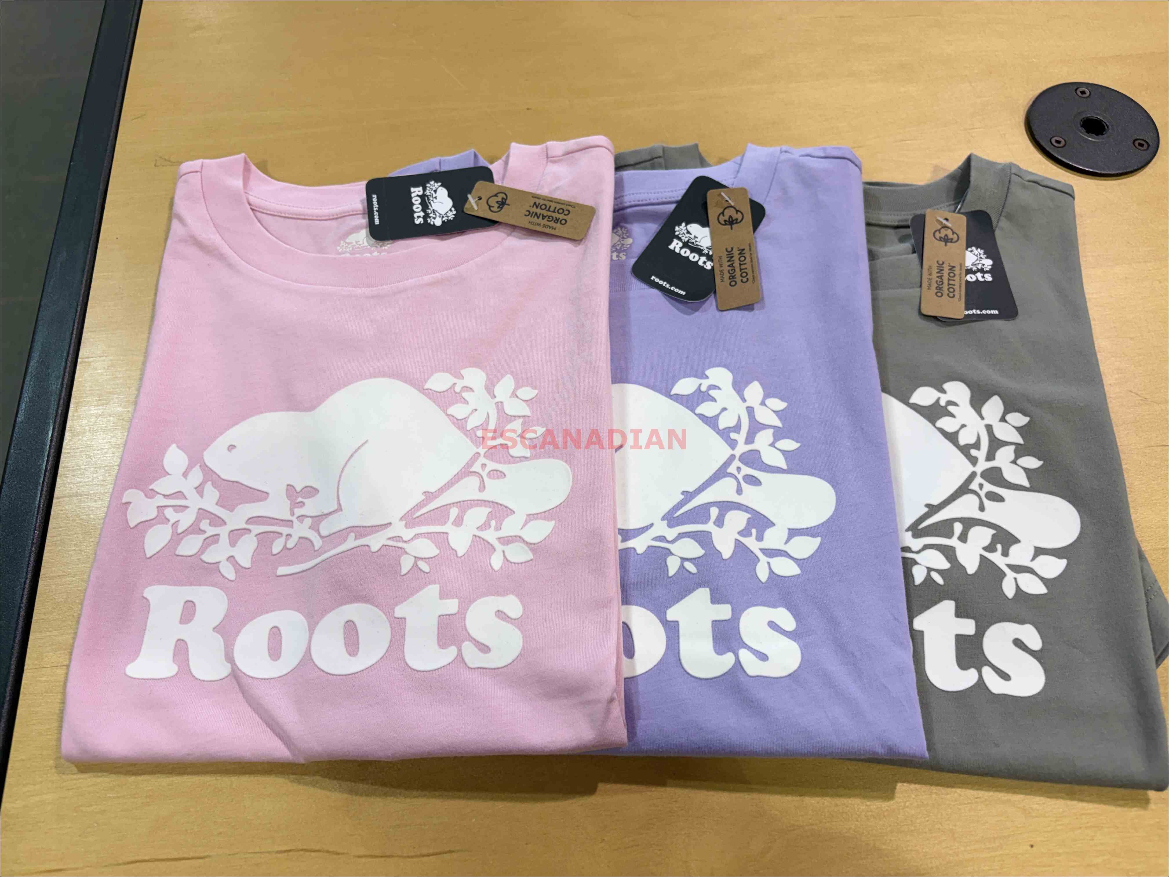 ROOTS 女大人 有機棉 經典款 寬版(Relaxed) 海狸 短TEE (2色)