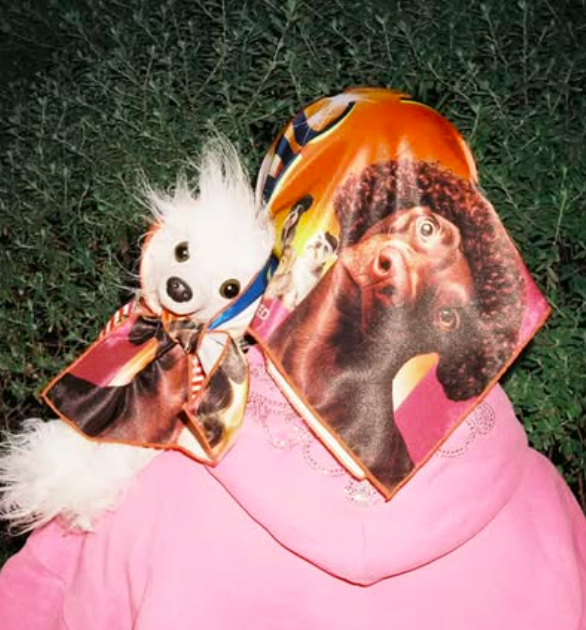 Teiyu - Cool doggies scarf