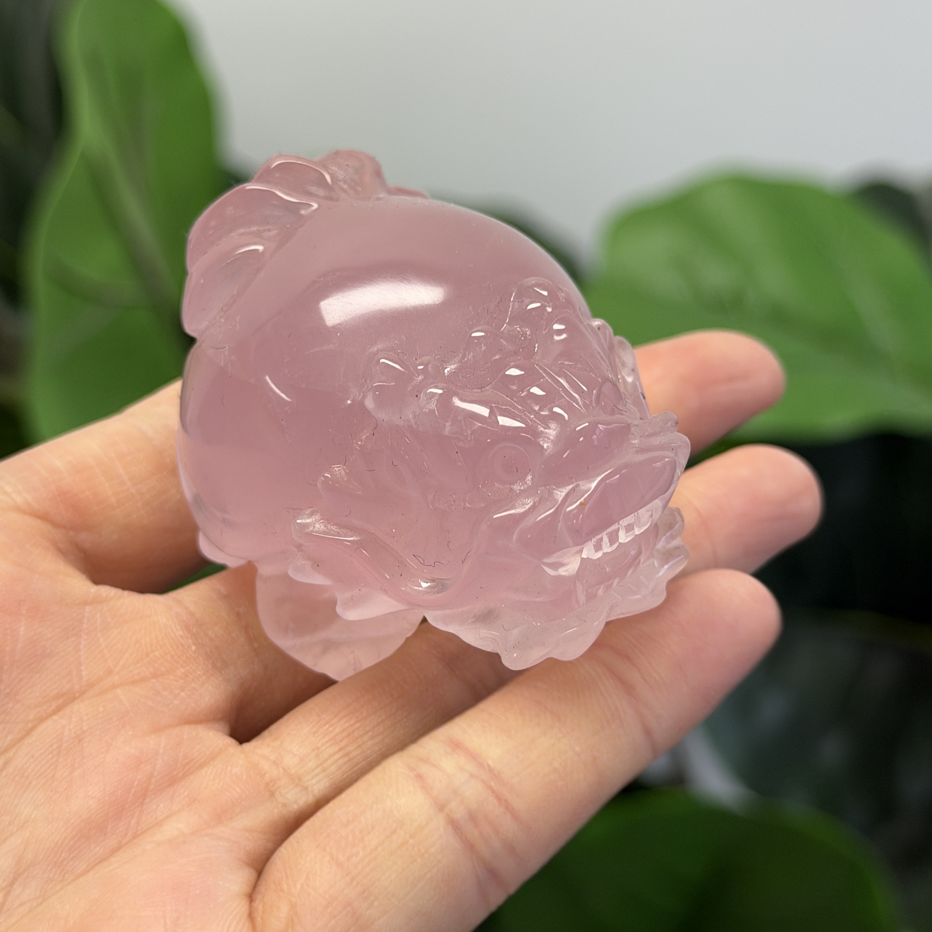 高級數粉晶龍龜  MP1739