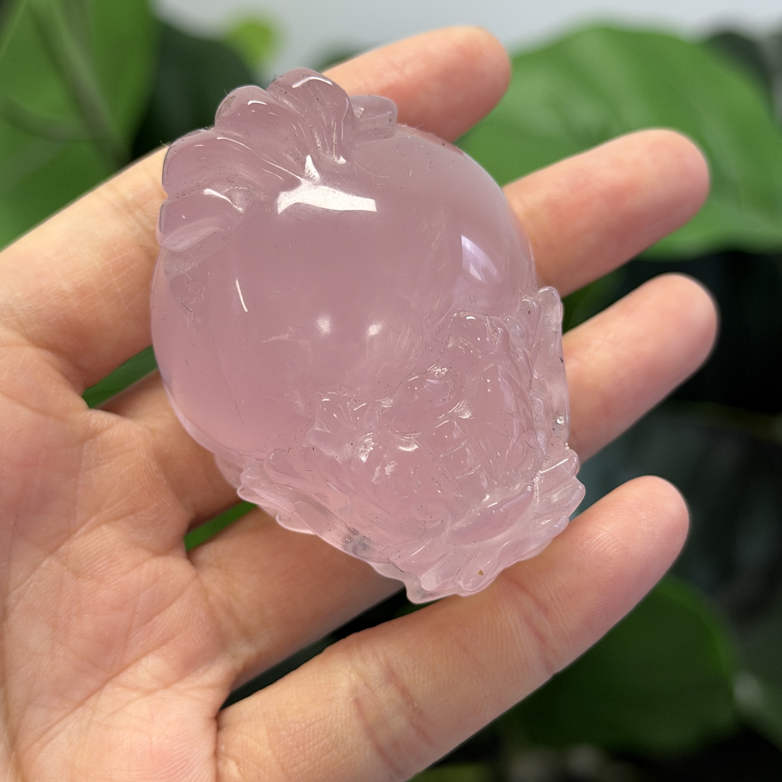 高級數粉晶龍龜  MP1739