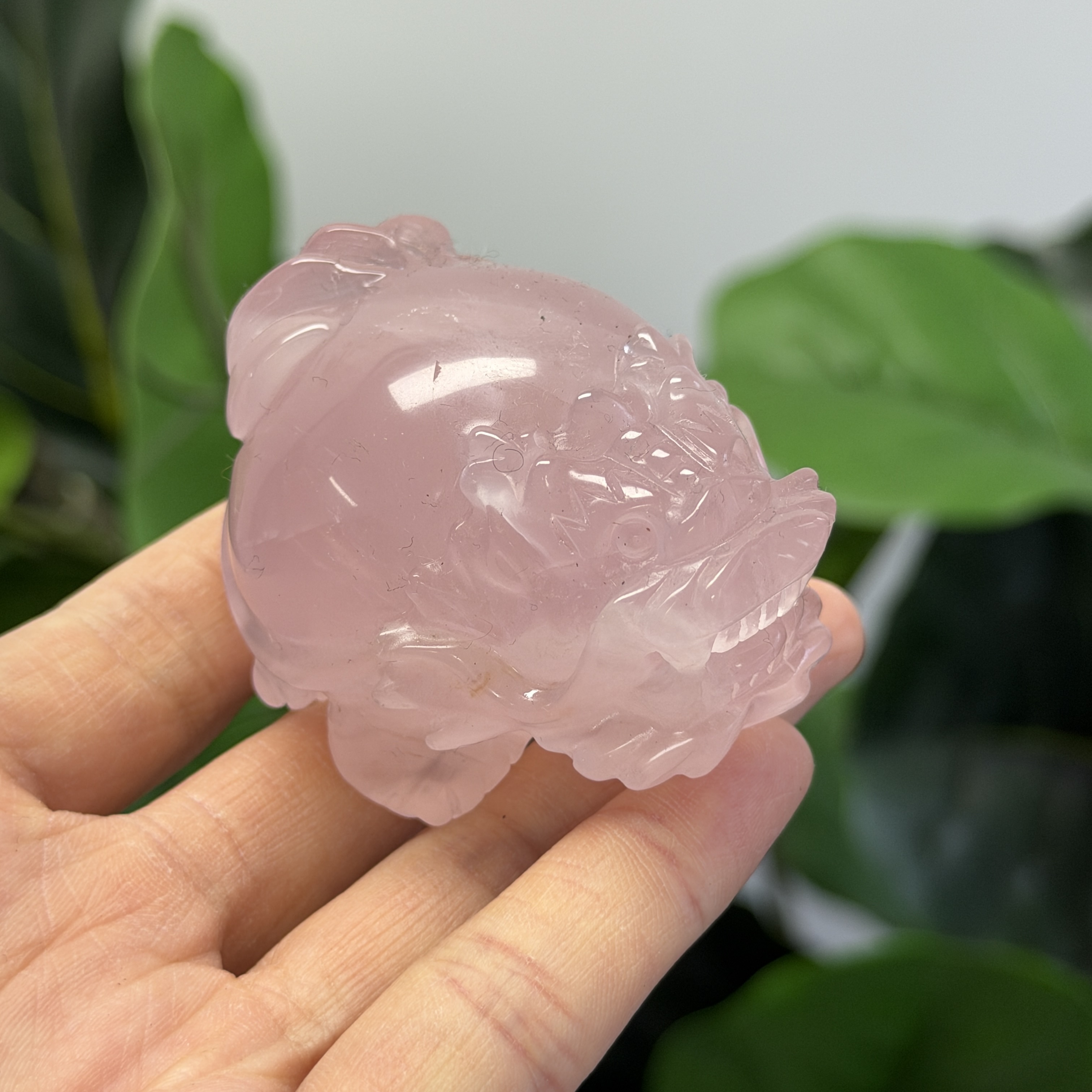 高級數粉晶龍龜  MP1740