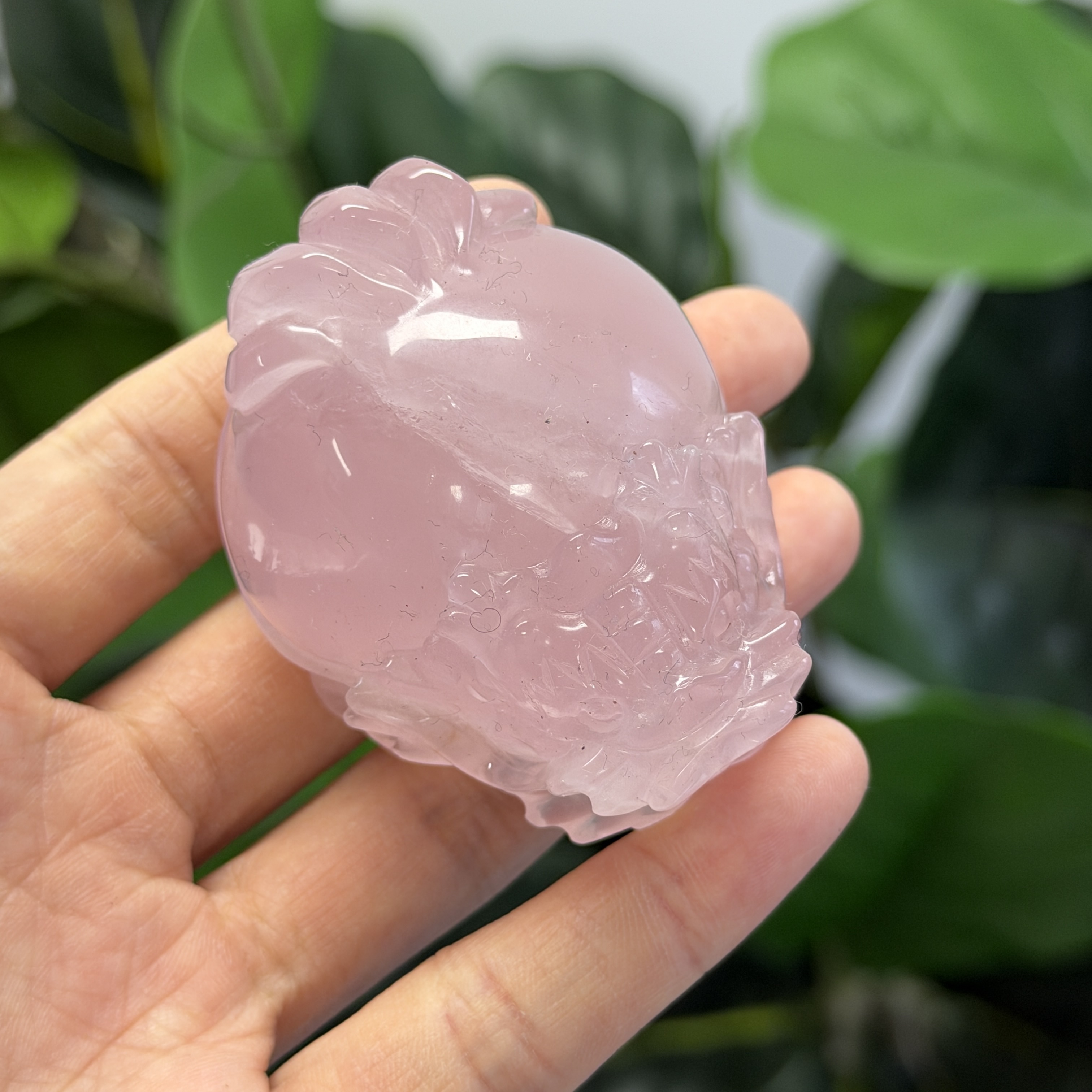 高級數粉晶龍龜  MP1740