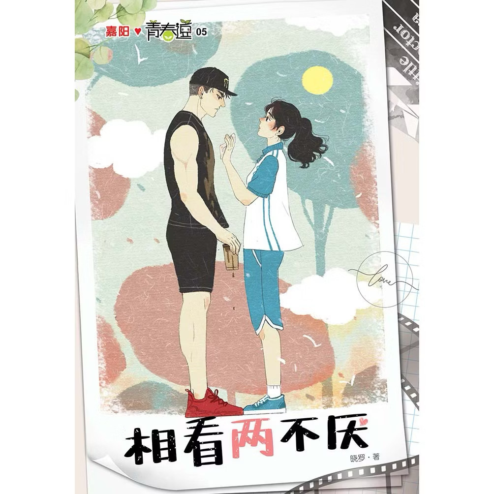 小说 相看两不厌
