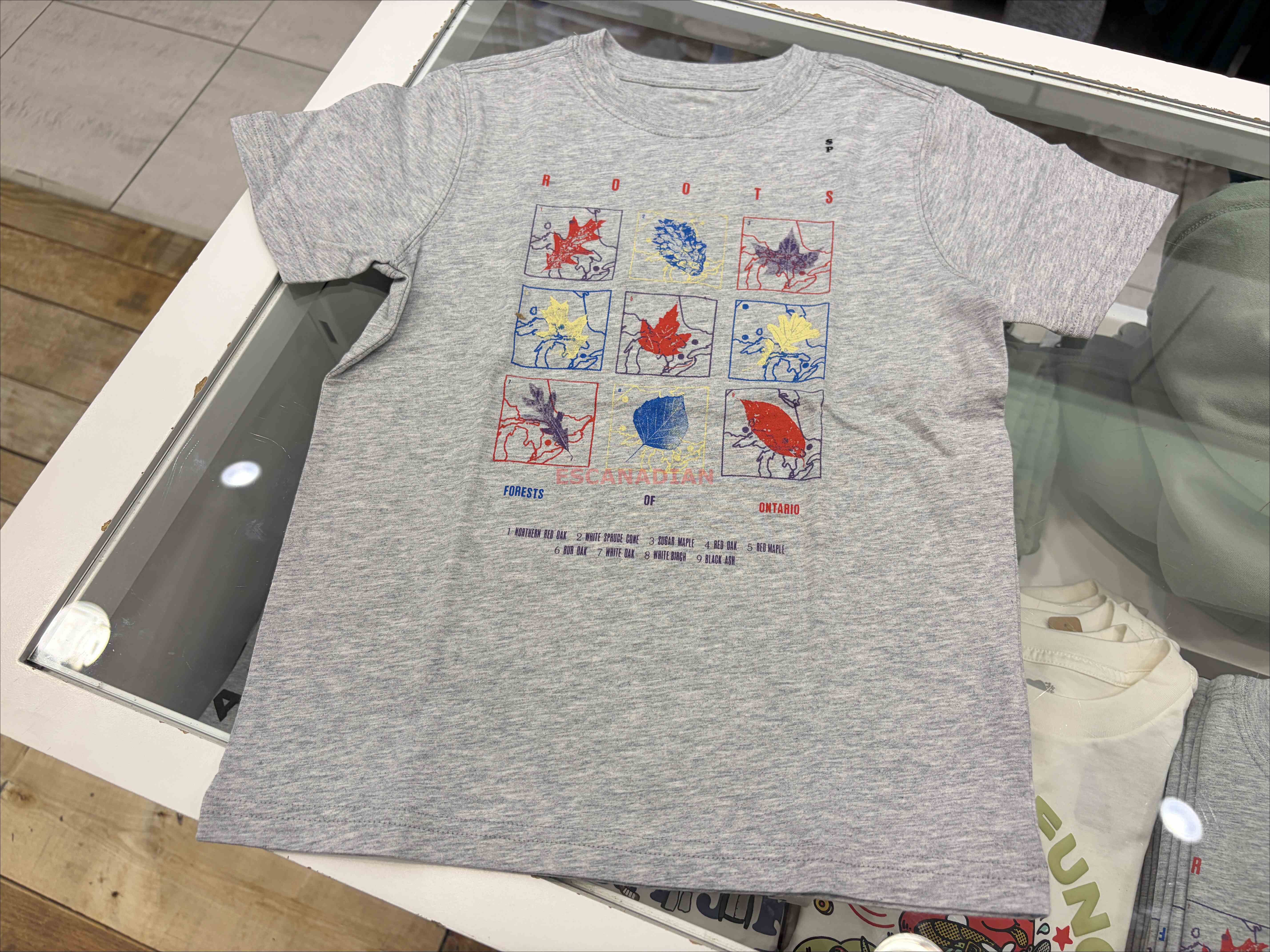 ROOTS 大童 楓葉圖案 短TEE