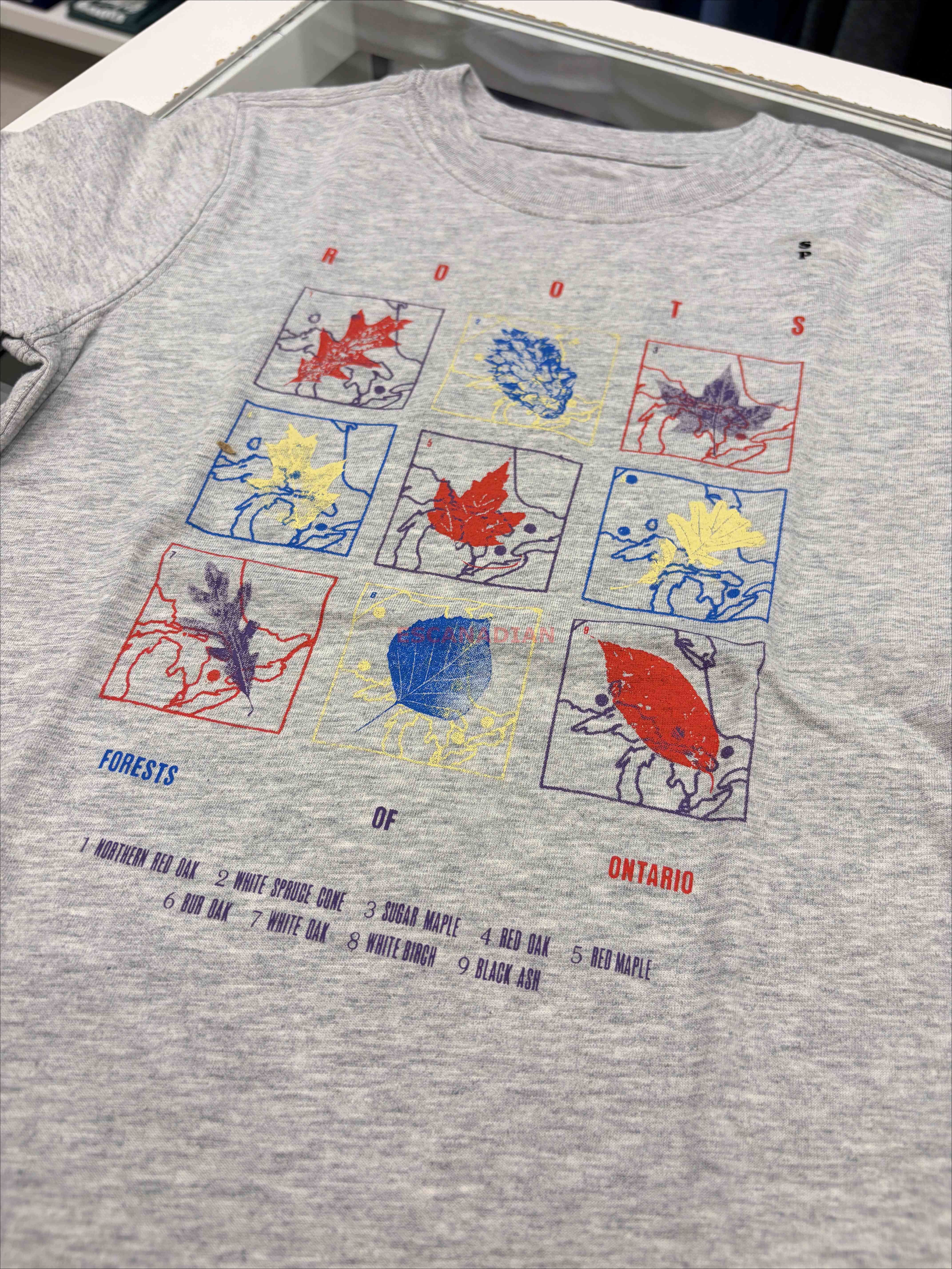 ROOTS 大童 楓葉圖案 短TEE