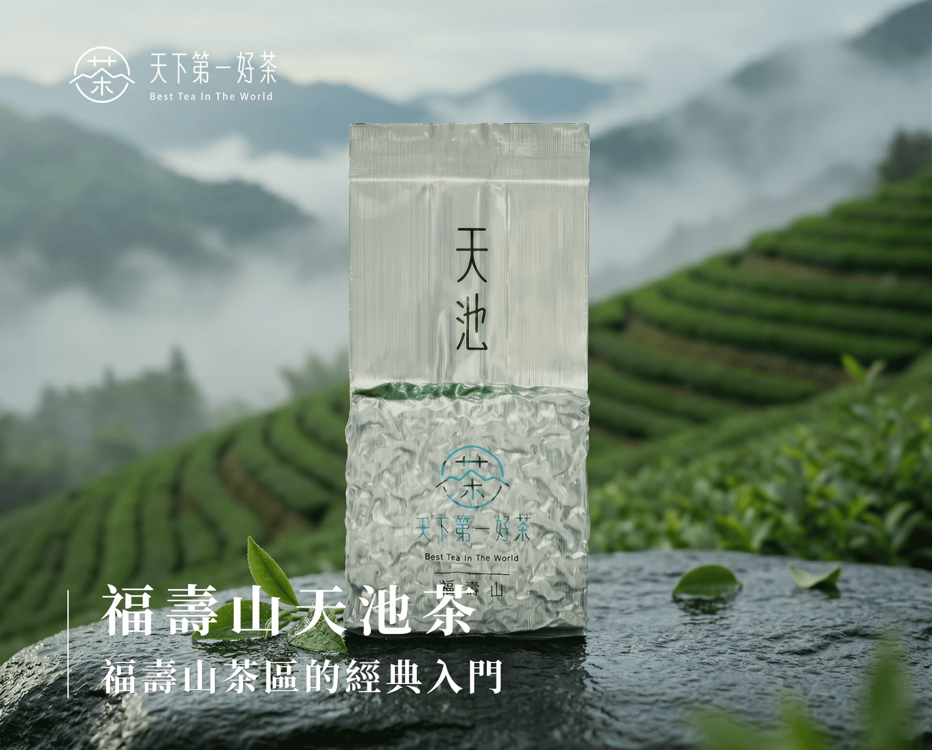 台湾 好茶　福壽山 福壽山茶包｜高山茶茶包－天下第一好茶