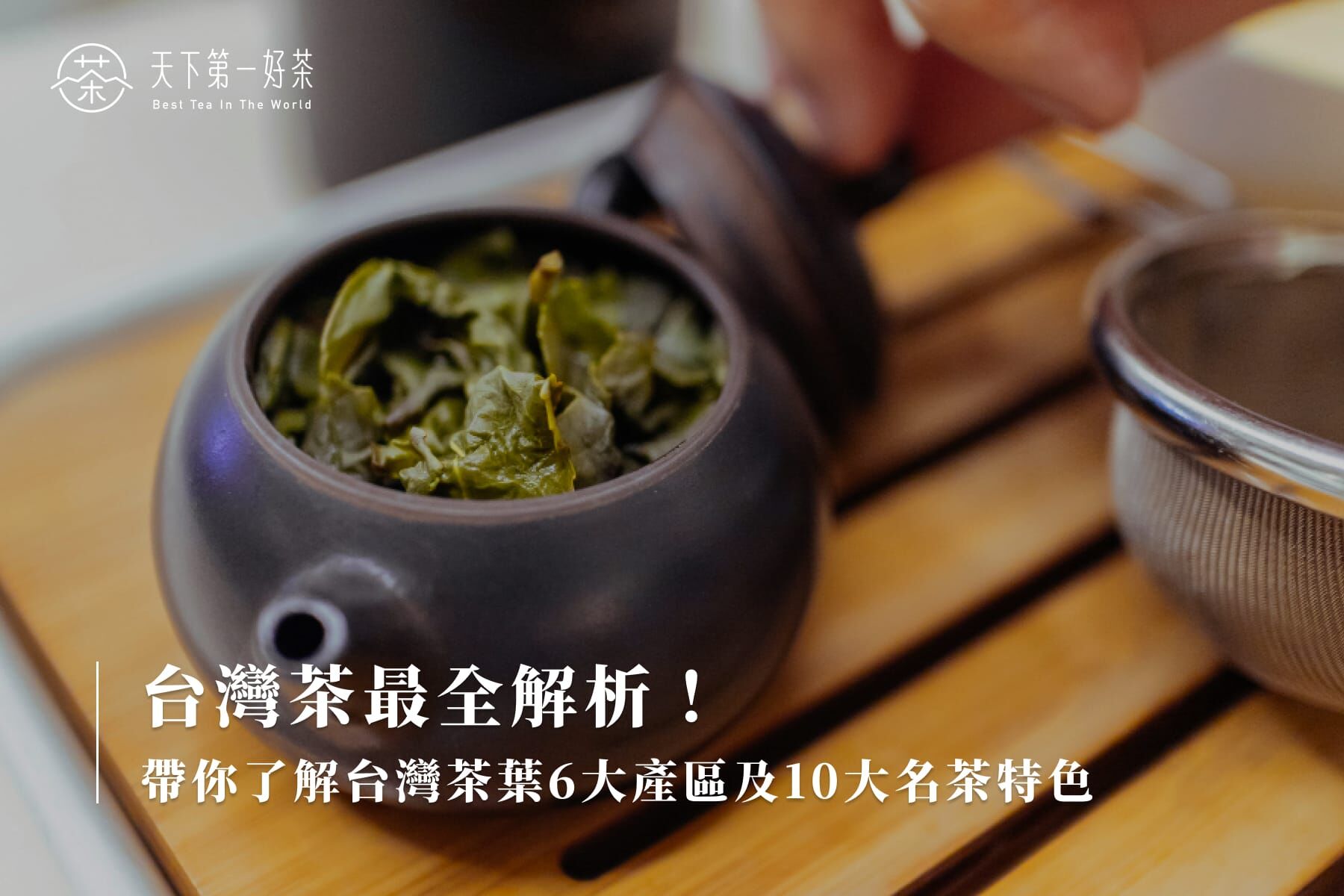 台灣茶最全解析！帶你了解台灣茶葉6大產區及10大名茶特色
