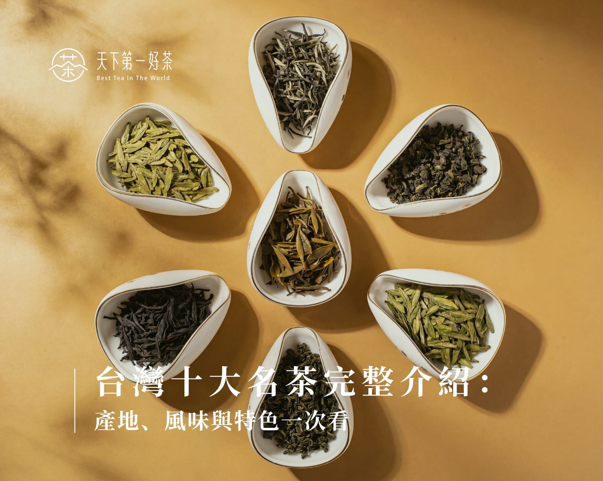 台灣十大名茶完整介紹