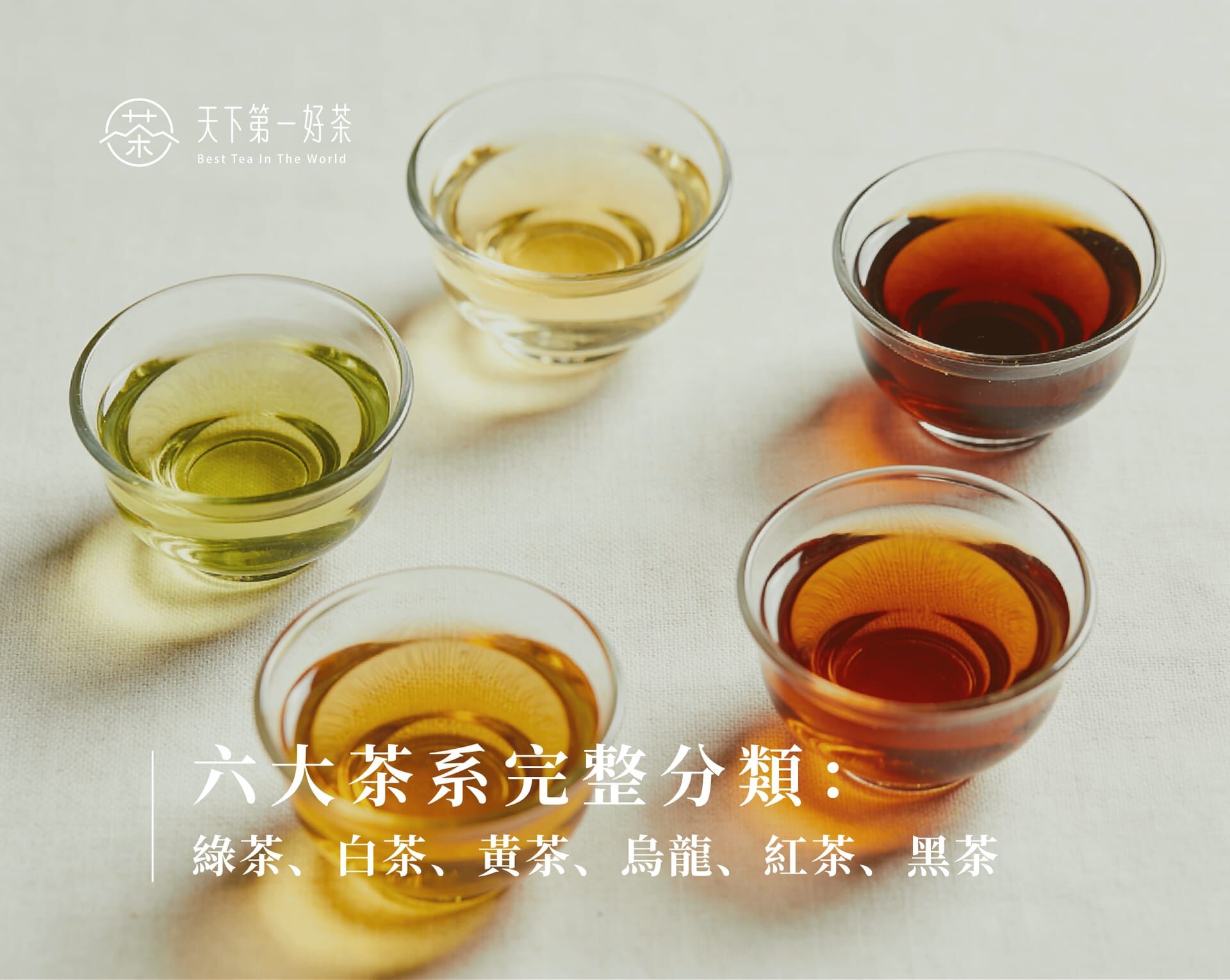 六大茶系完整分類