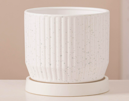 陶瓷花器 豎紋噴點蝴蝶蘭盆 附底盤 4色