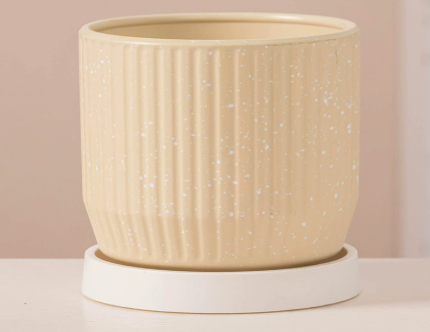 陶瓷花器 豎紋噴點蝴蝶蘭盆 附底盤 4色