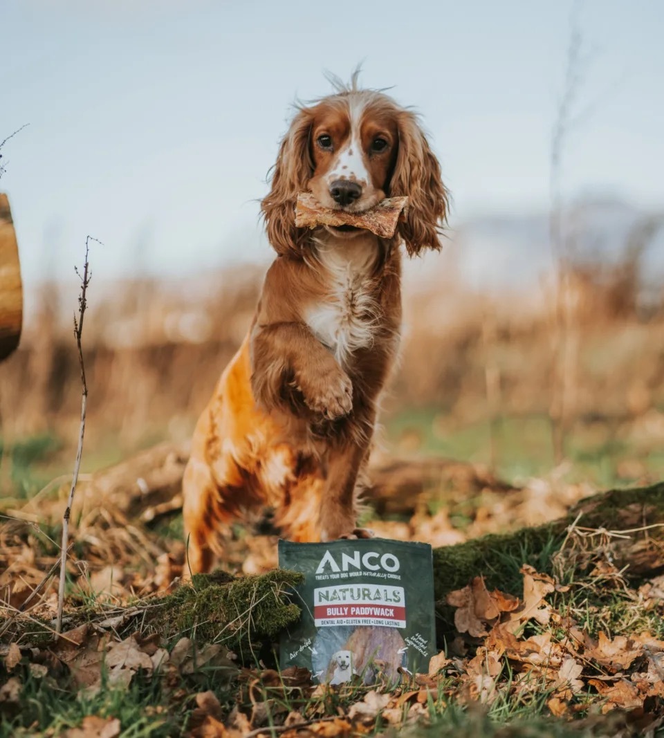 Anco Naturals Bully Paddywack 250g