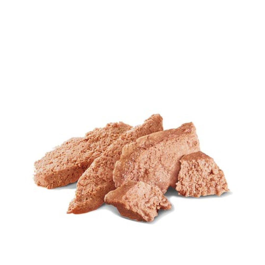 Royal Canin 狗濕糧．成犬 加護系列 挑嘴配方85g