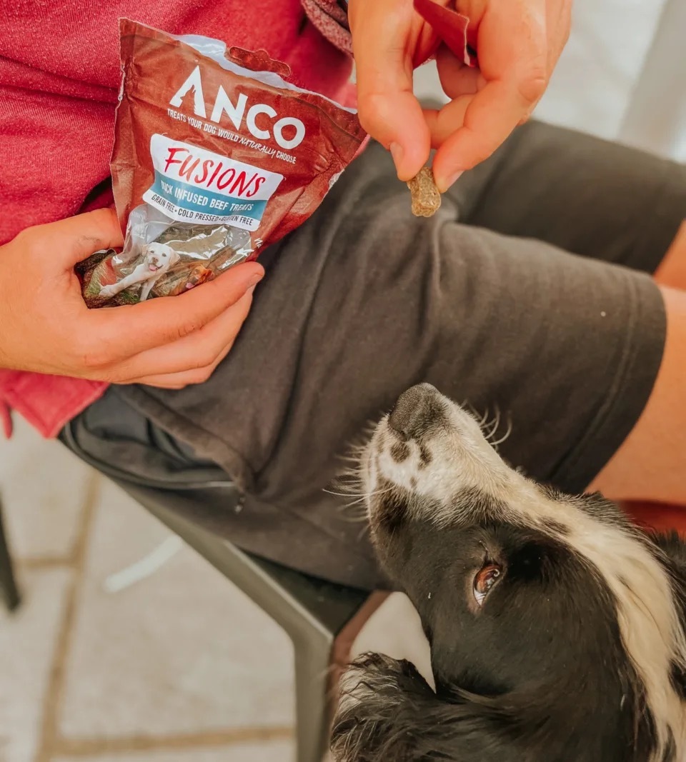 Anco Fusions牛肉和鴨肉  冷壓、無穀物和低脂肪的骨頭形狀的零食-100克