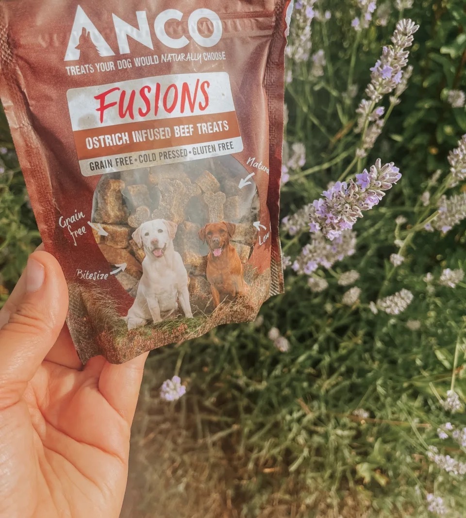 Anco Fusions牛肉和鴕鳥  冷壓、無穀物和低脂肪的骨頭形狀的零食-100克