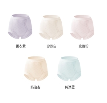 CF9505 「錢皇」艾蒿高腰女士防護內褲，柔軟 || PRO60（5 條裝）