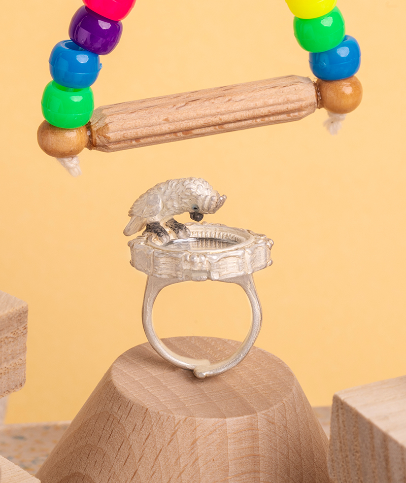 鸚鵡凝視鏡子戒指