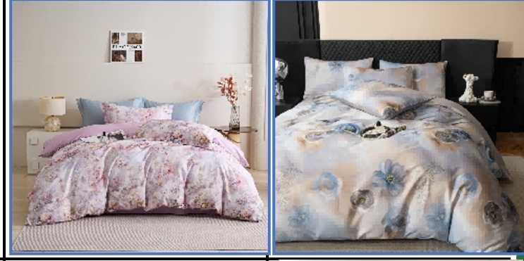 CF9523 「钱皇」100%新疆长绒棉套件