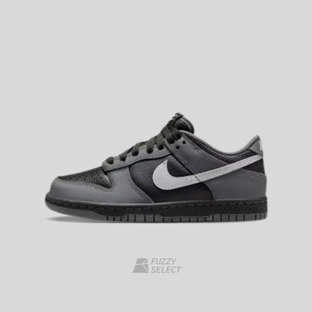 【逢甲 FUZZY】Nike Dunk Low GS "Black Reflect Silver" 荔枝皮 灰黑 國外限定 IM6028-010