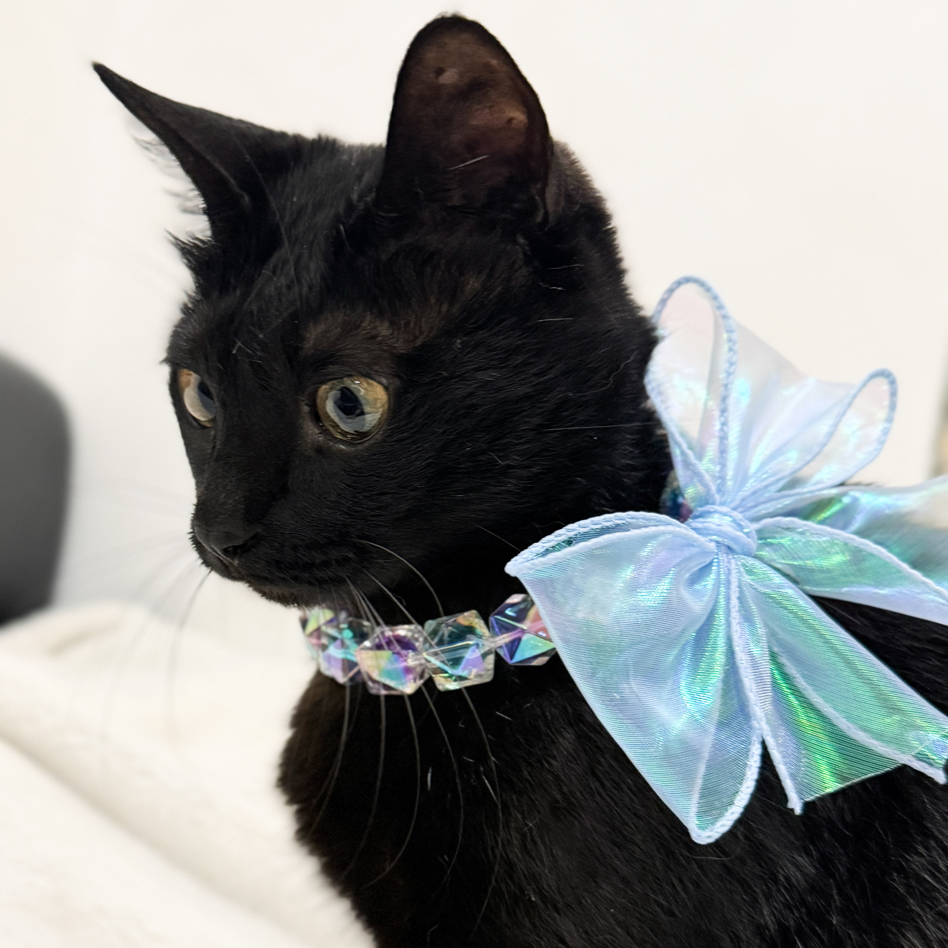 炫彩琉璃蝴蝶結項鍊