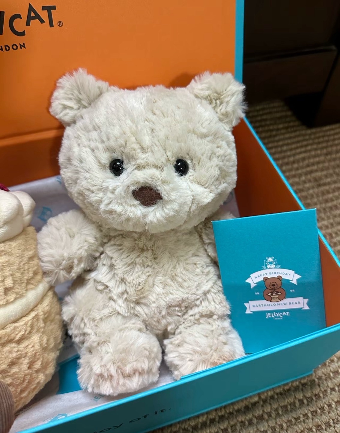 <萌熊登場🐻>Jellycat 巴塞羅熊 Junior 小童版