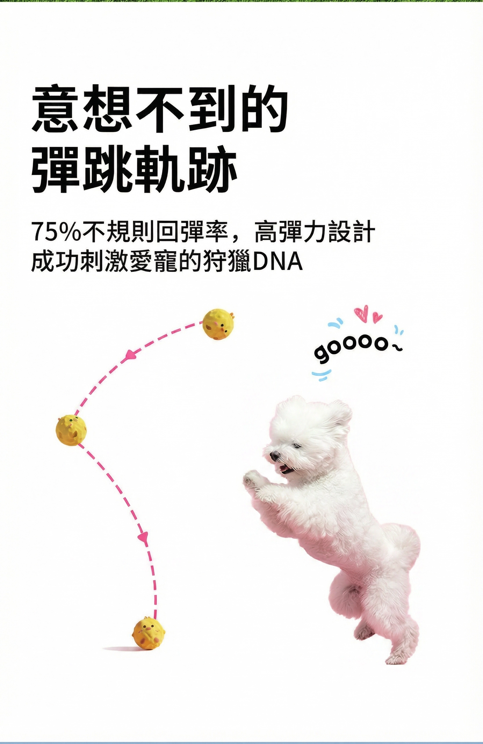 好寵-球球大作戰-動物造型寵物玩具球推薦-3入組