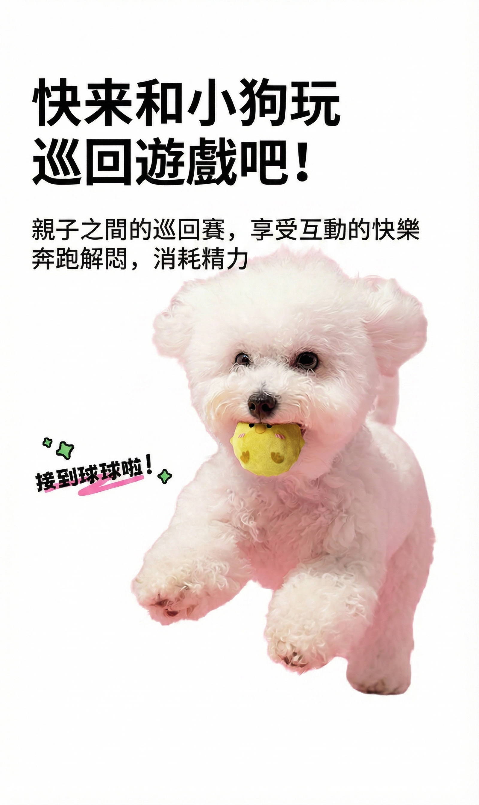 好寵-球球大作戰-動物造型寵物玩具球推薦-3入組