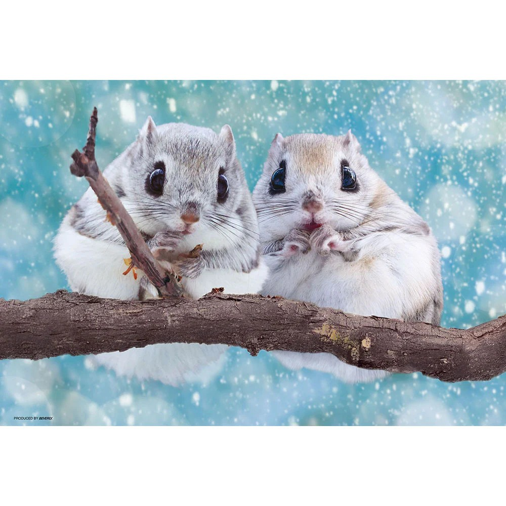 毛茸茸蝦夷飛蛾