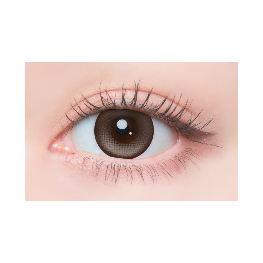 (日本版)Flanmy 1 Day(Sugar Churros)(10片)