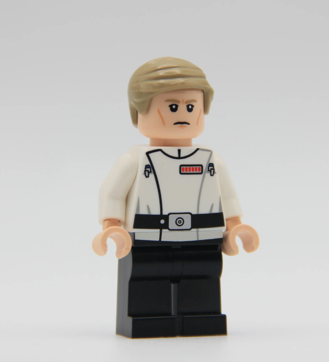 【Rais Customs】導演（年輕）