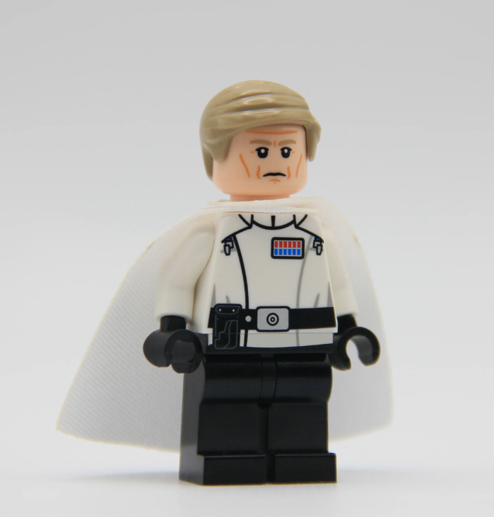 【Rais Customs】導演