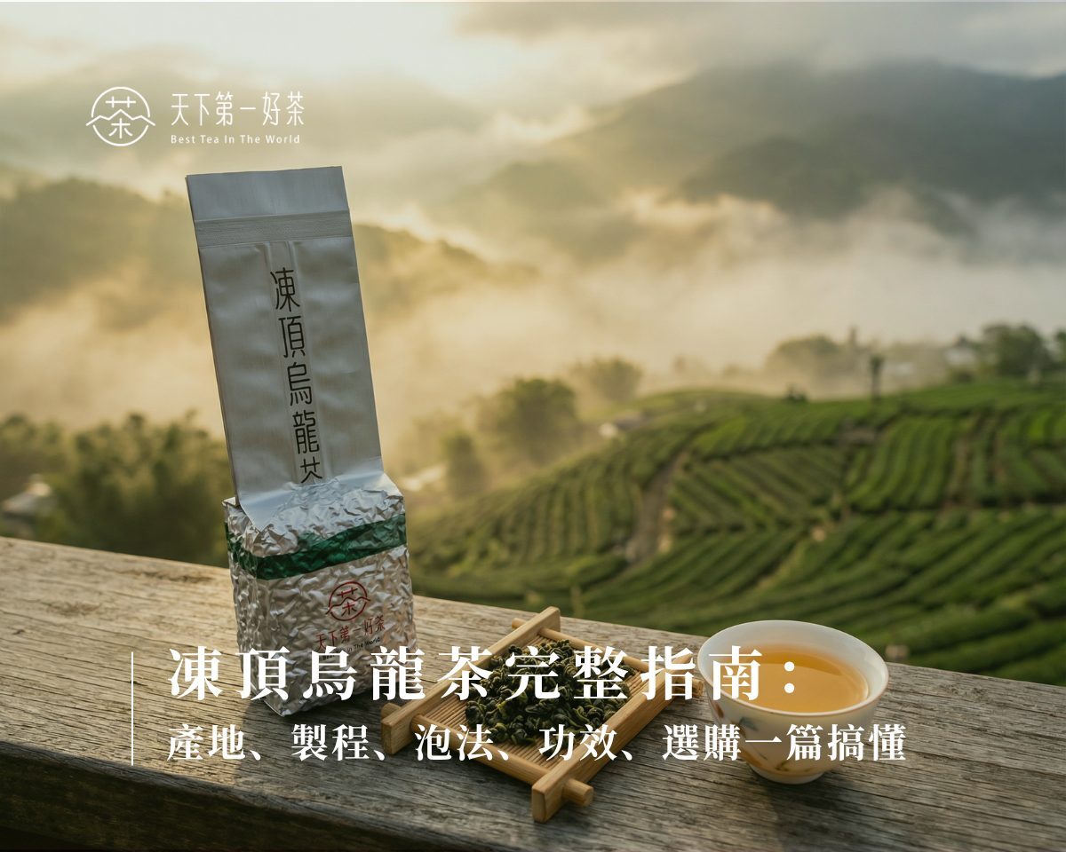 凍頂烏龍茶
