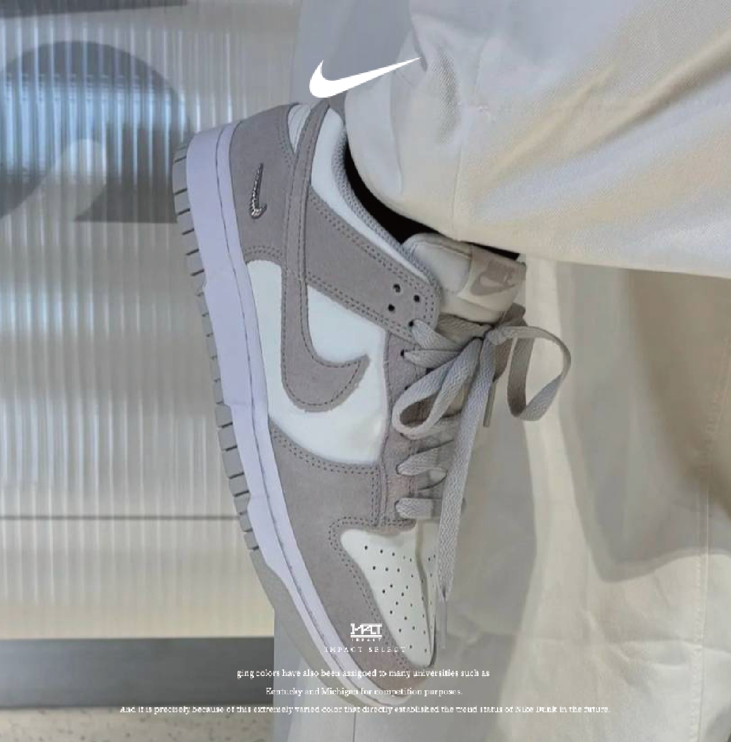 NIKE W DUNK LOW 'Sail' 米灰 銀色小勾 麂皮 復古 IO4244-105