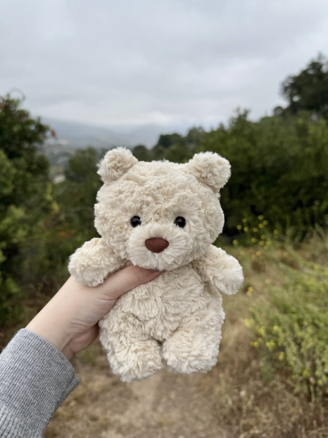 🧸(預購）JellyCat 巴塞羅小熊崽 毛絨娃娃