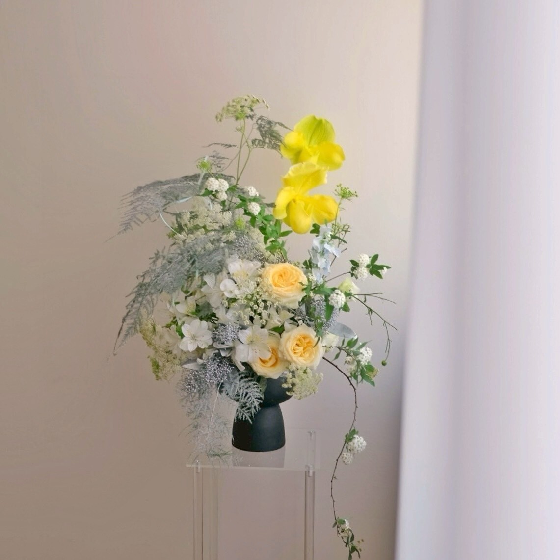 一場為你而開的花 / 模糊是為了讓答案更清楚