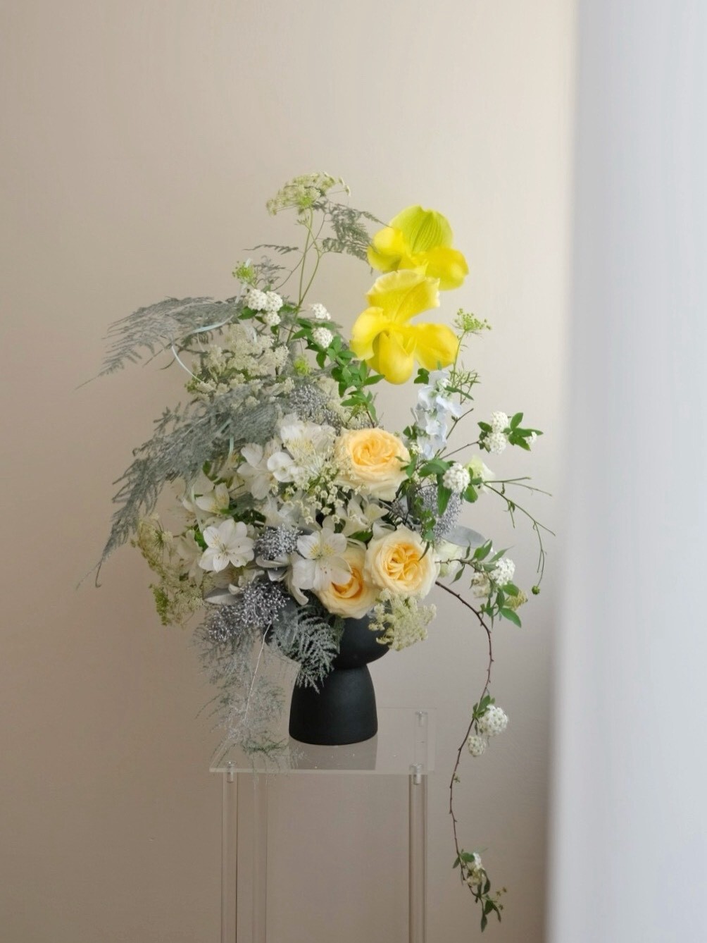 一場為你而開的花 / 模糊是為了讓答案更清楚