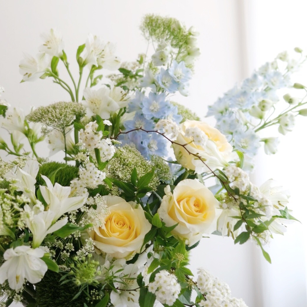 一場為你而開的花 / 留給春天裡的一束美好