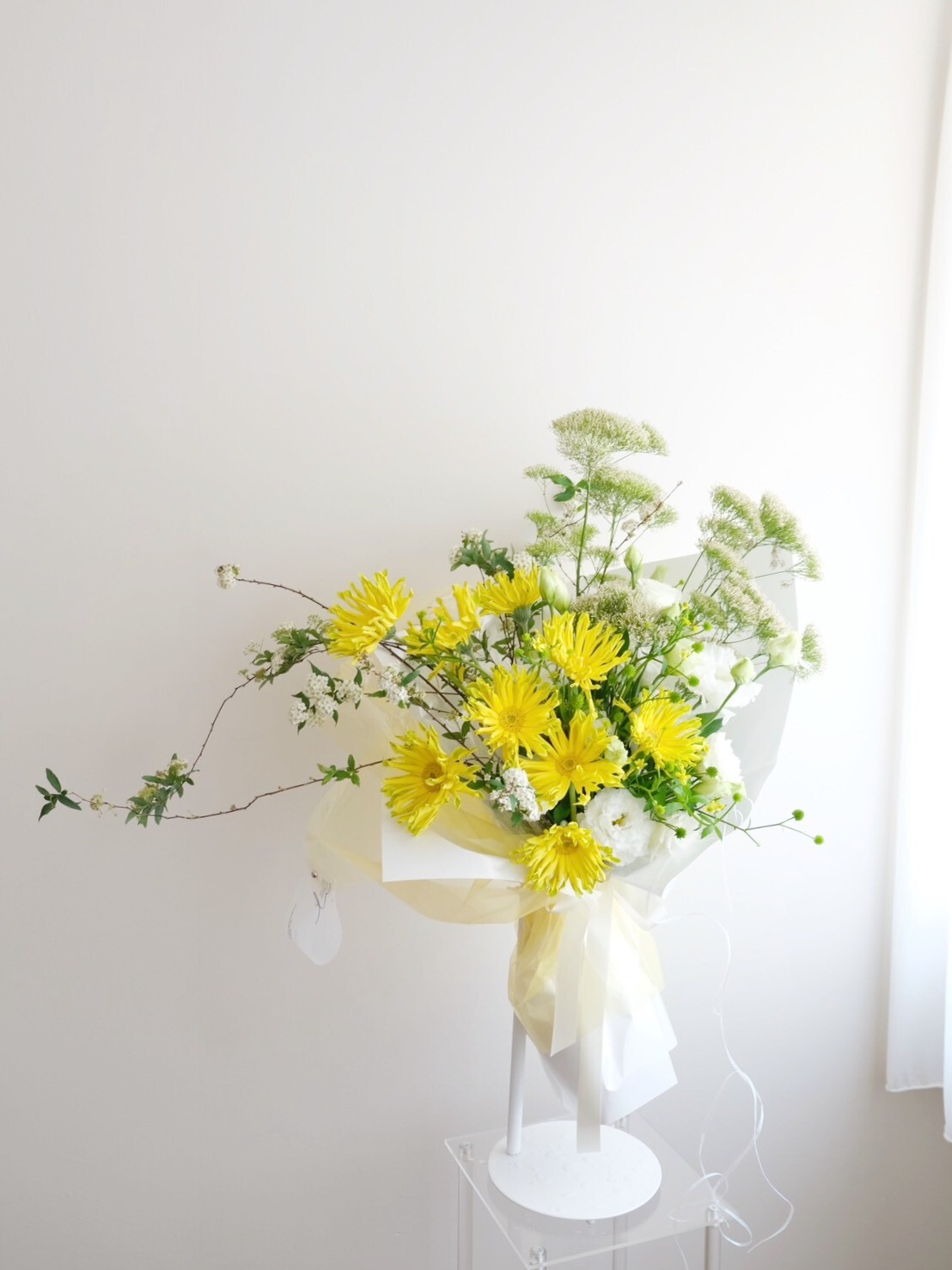 一場為你而開的花 / 把光全都留在今天