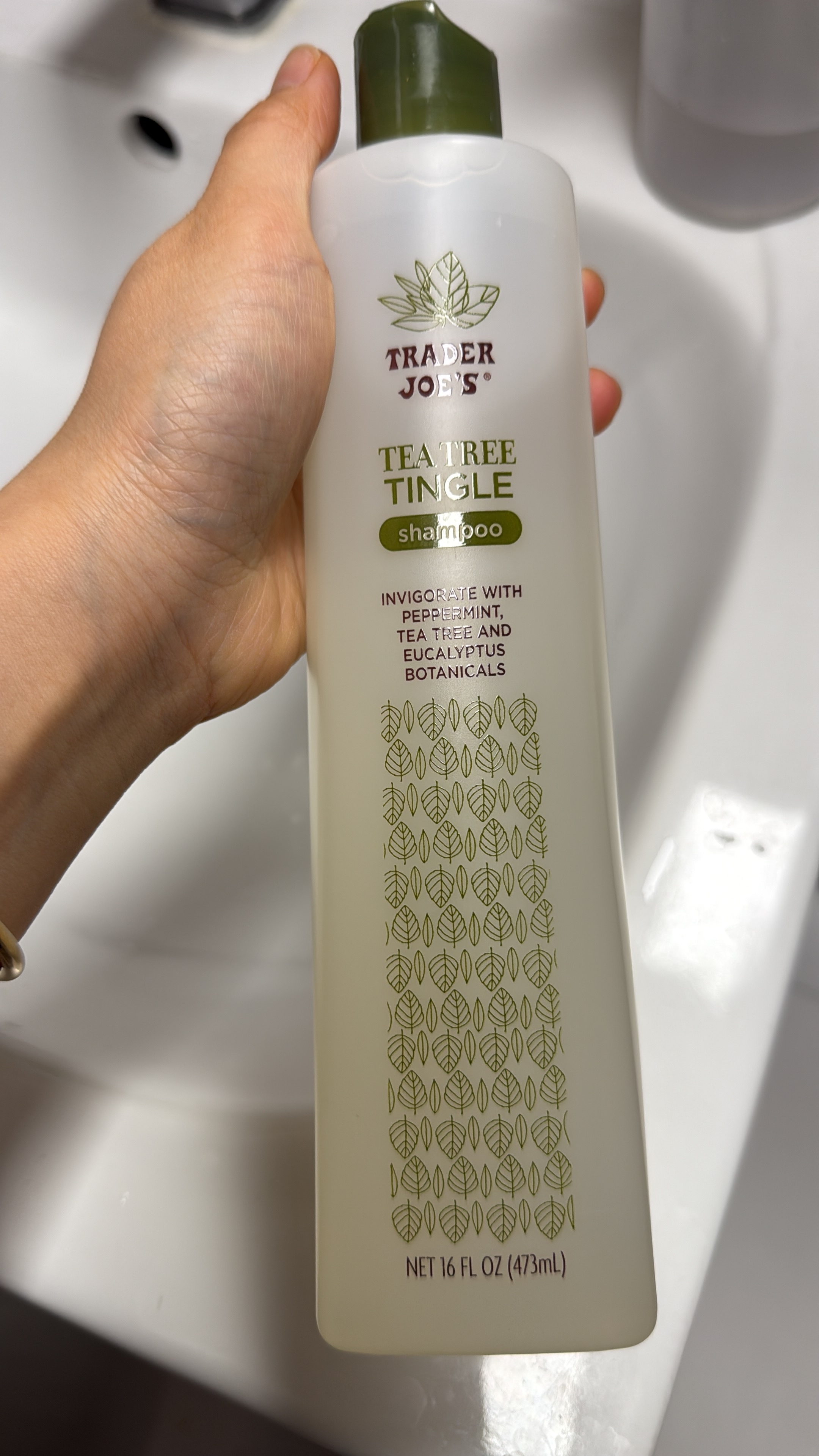 預購-茶樹洗頭水