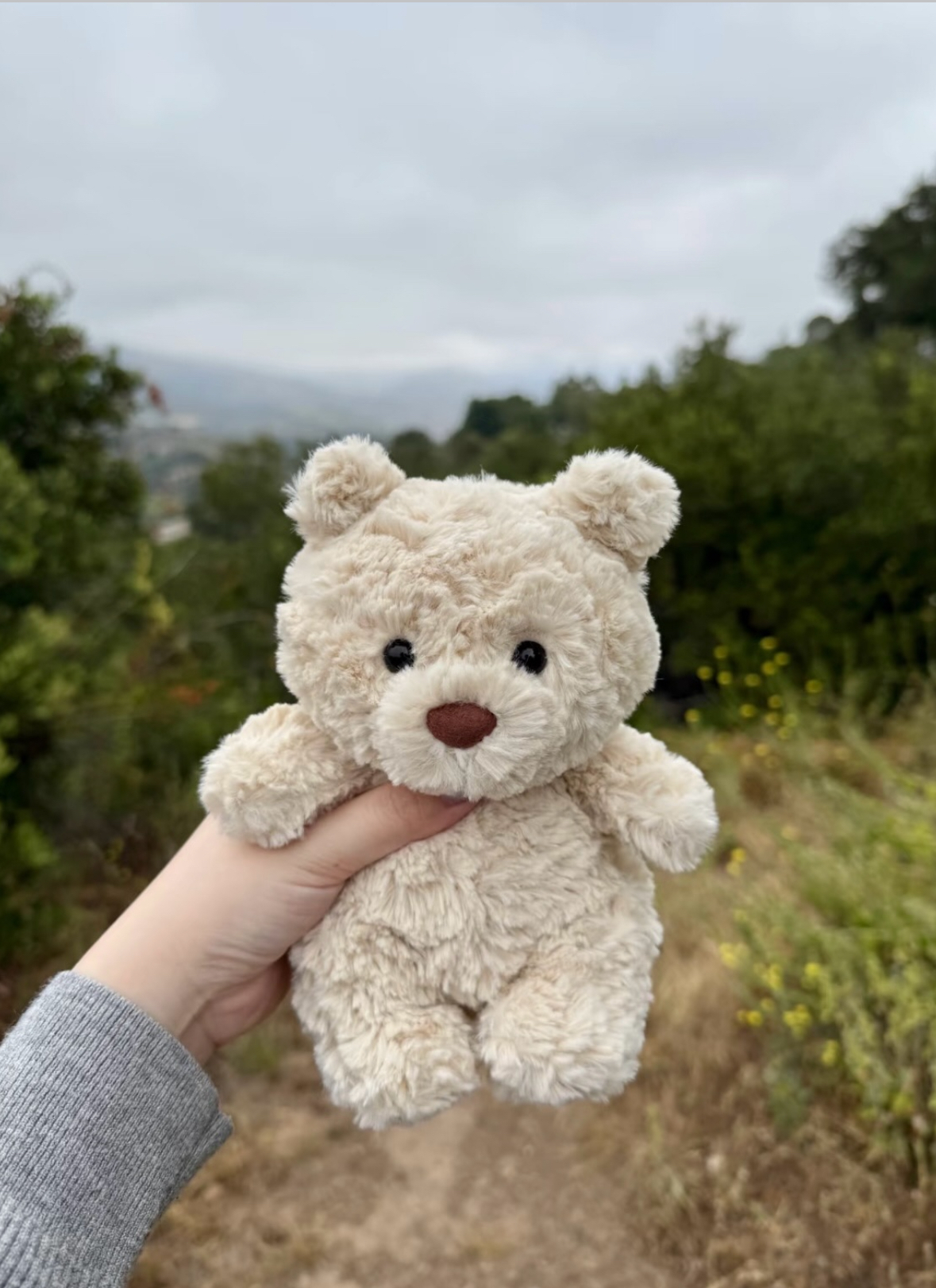 <萌熊登場🐻>Jellycat 巴塞羅熊 Junior 小童版