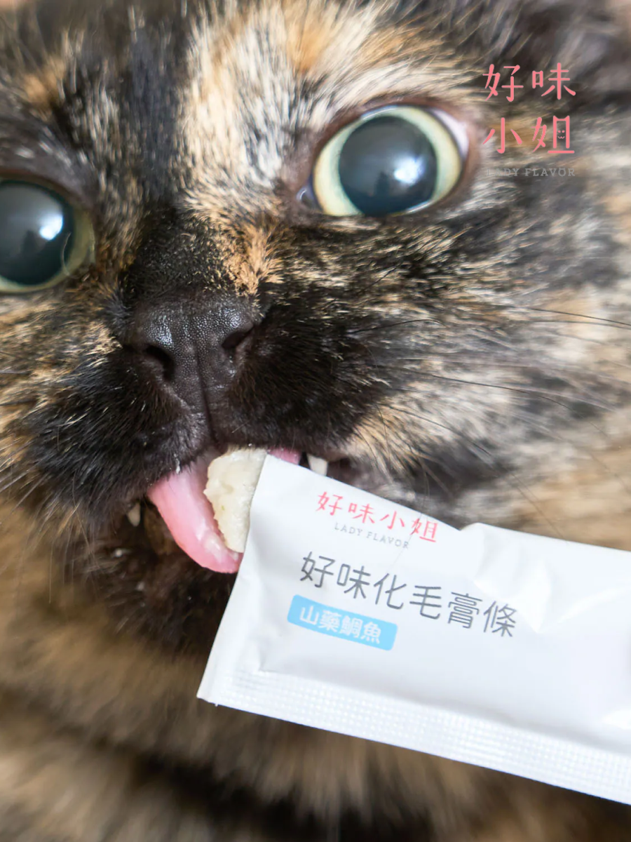 【LADY FLAVOR 好味小姐】好味化毛膏條｜山藥鯛魚