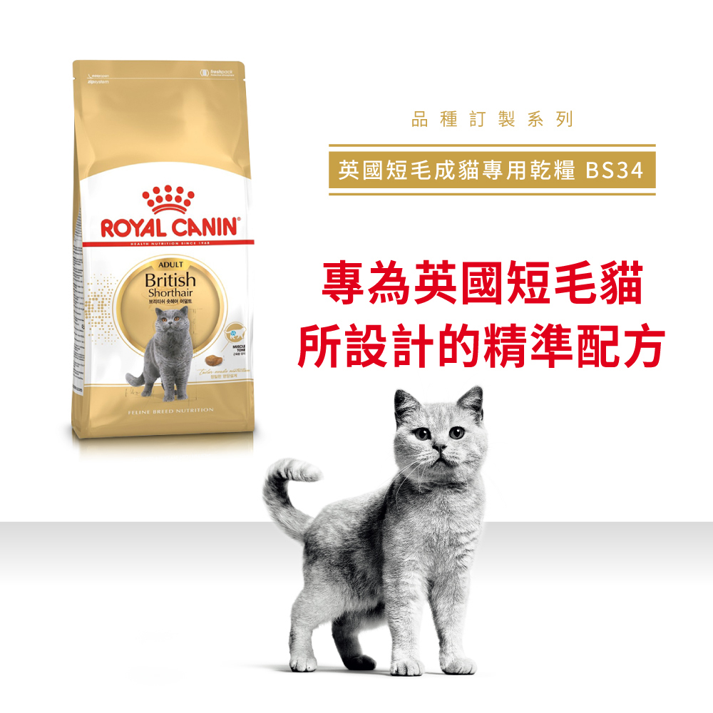 Royal Canin法國皇家英國短毛成貓BS34
