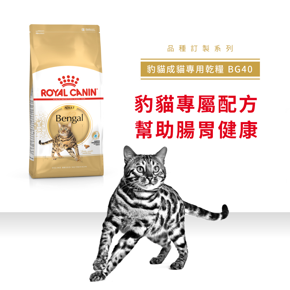 Royal Canin法國皇家豹成貓BG40