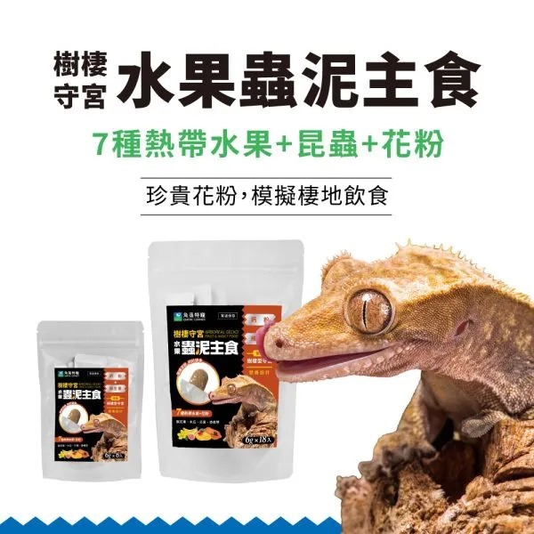 角落水族 樹棲守宮 水果蟲泥主食 守宮 爬蟲主食泥