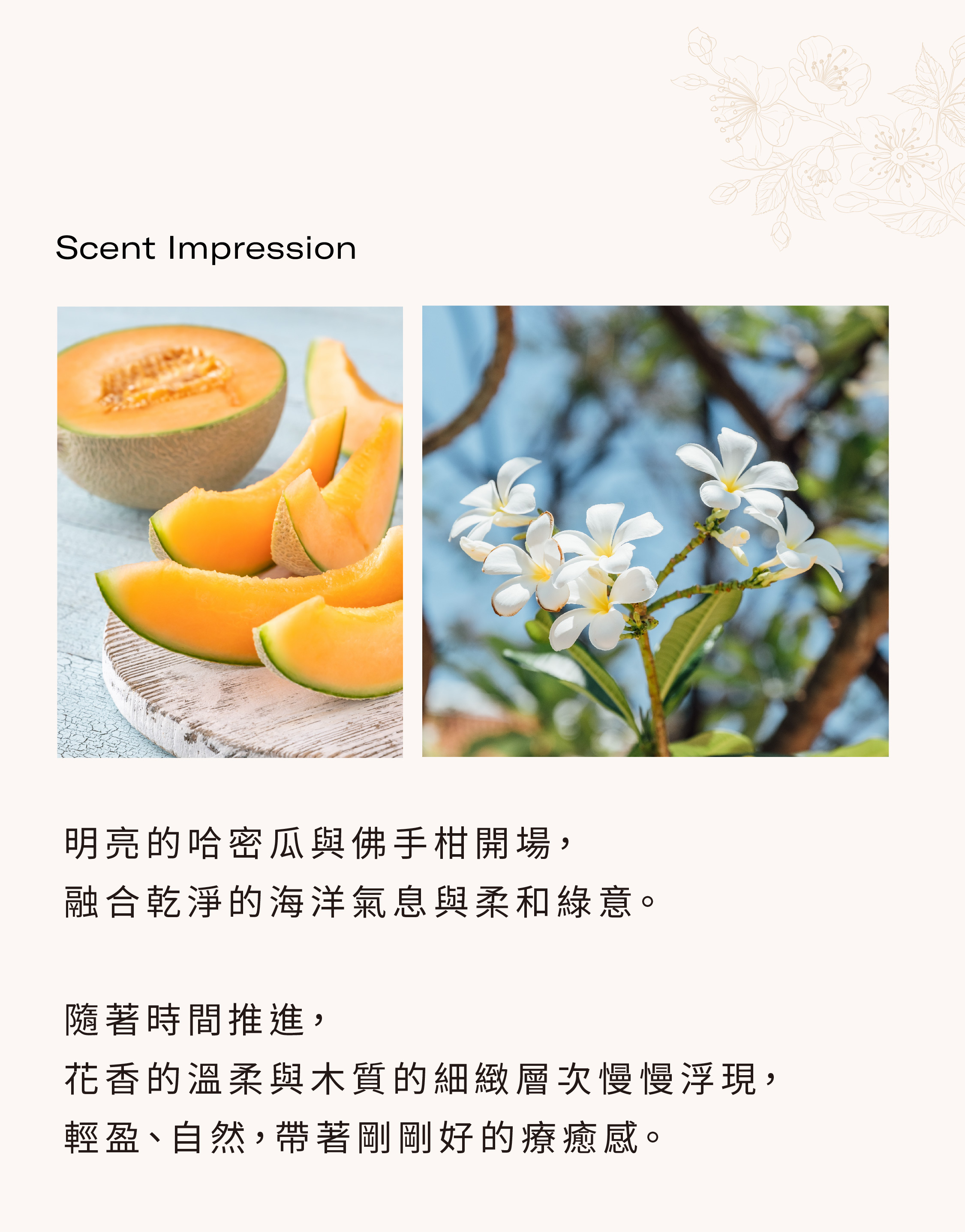 香調筆記