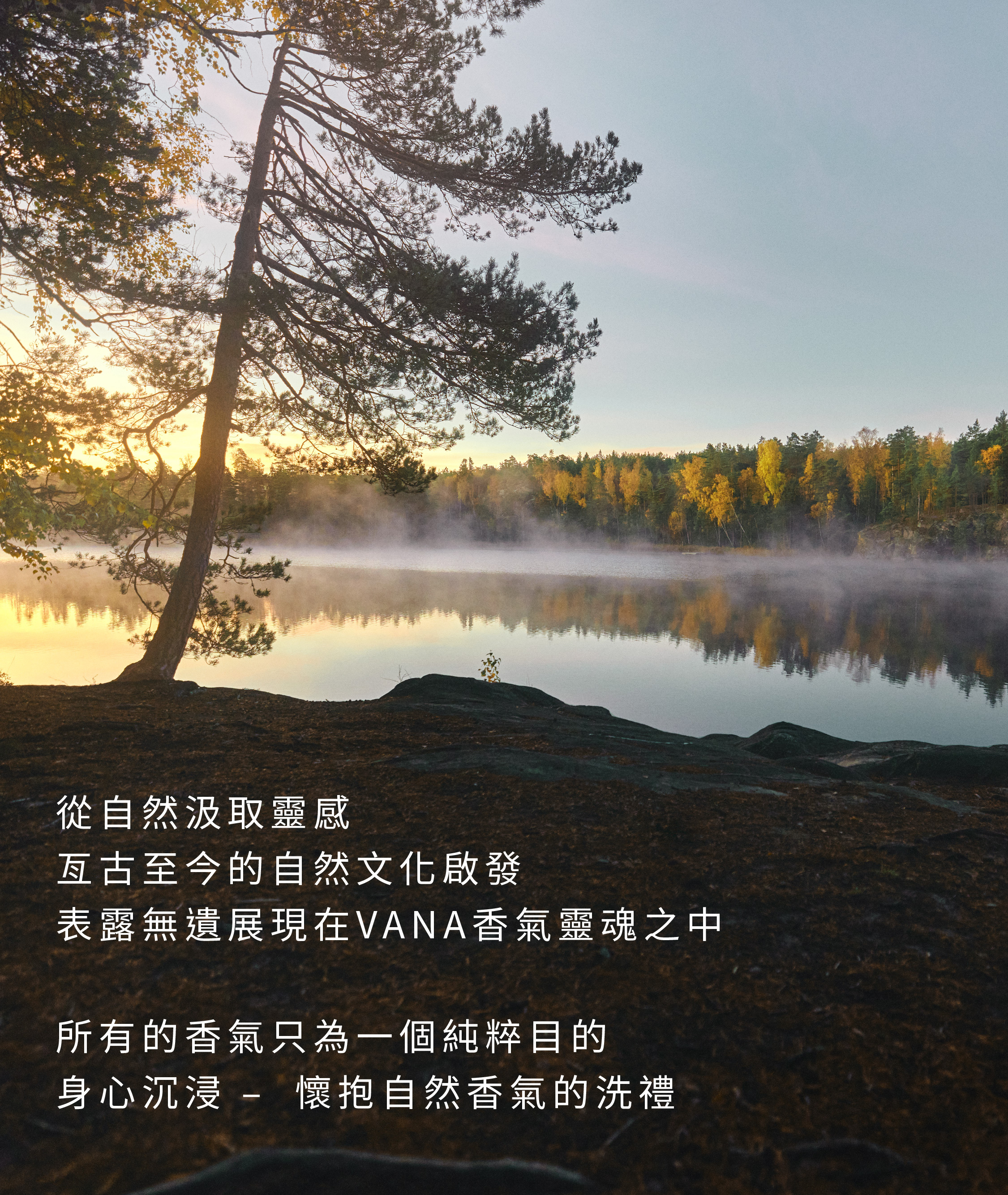 自然