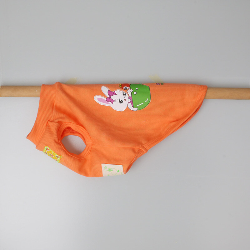 OOPS!｜Vivid Bunny T (橘色)